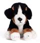 Preview: Plüsch Berner Sennenhund