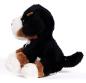 Preview: Plüsch Berner Sennenhund