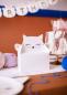 Preview: Cats Kuchen Boxen