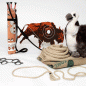 Preview: Cowboyparty Verleihkiste Preview: Cowboyparty Verleihkiste