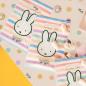 Preview: Miffy Party Tüten "nijntje"