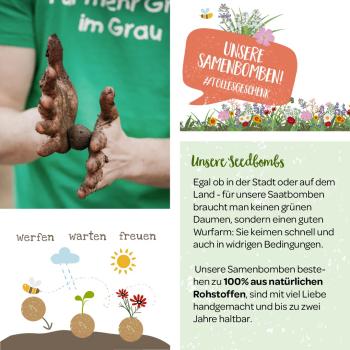 Blumenmurmeln Seedbombs Bienenwohl