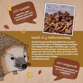 Kleine Mahlzeit - Igelfutter