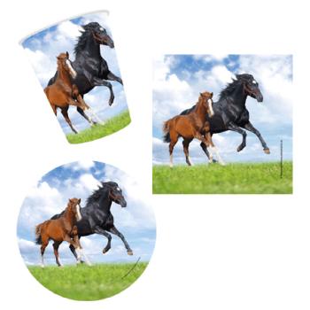 Pferd und Fohlen Party Set