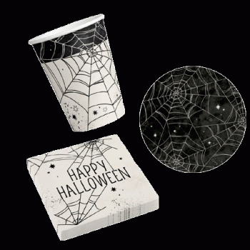 Spiderweb Party Set