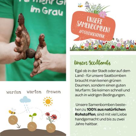 Blumenmurmeln Seedbombs Bienenwohl