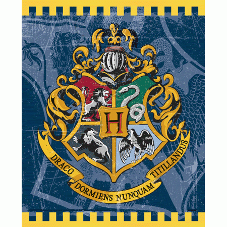 Harry Potter - Partytüten