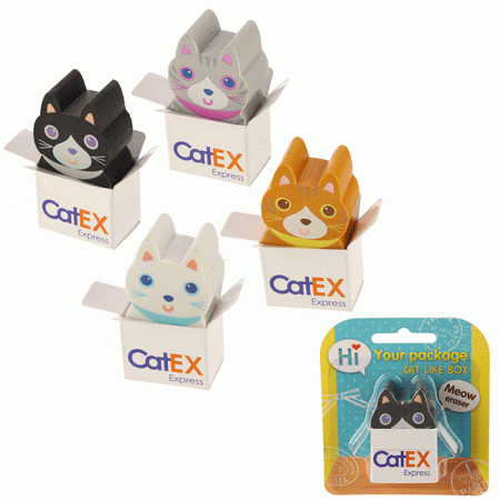 Radiergummi Katze im Karton