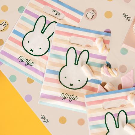 Miffy Party Tüten "nijntje"
