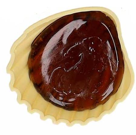 Schleckmuschel - 1 Stück (26,90€/1kg)