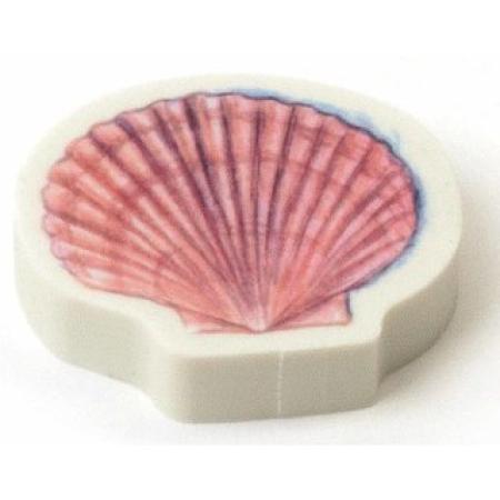Muschel Radiergummi